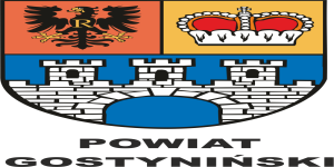 Debata nad raportem o stanie Powiatu Gostynińskiego